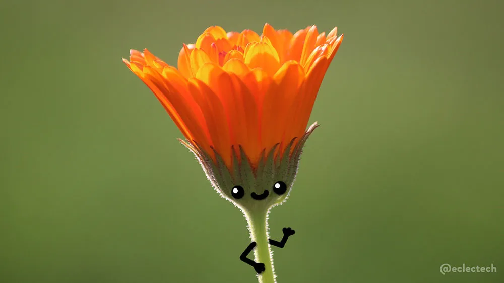 Cute flower waving at the reader.